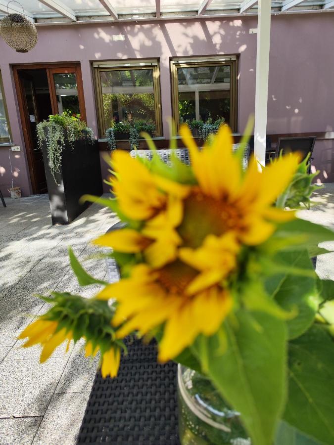 Hotel Lowen Tengen Bagian luar foto